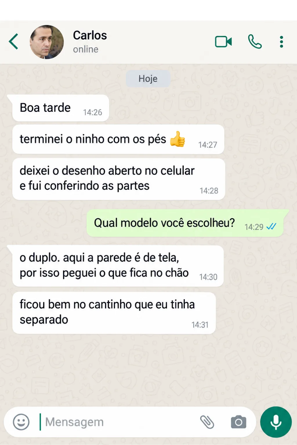 Print de conversa: Márcia conta que o desenho com as madeiras separadas ajudou a entender a montagem e que ela e o marido montaram o ninho juntos