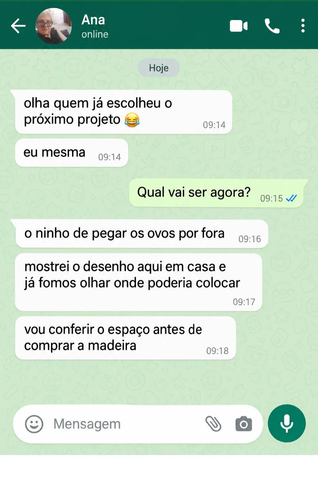 Print de conversa: Carlos terminou o ninho duplo com pés, conferindo as partes no desenho aberto no celular